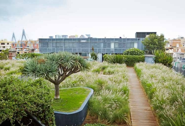 M-Central-Rooftop-Garden-Sydney