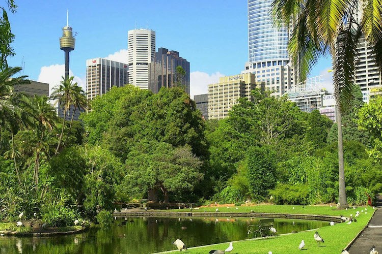 Green Sydney NSW The Fifth Estate Sydney NSW