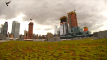 screengrab-feed-Javits-Center-roof screengrab-feed-Javits-Center-roof